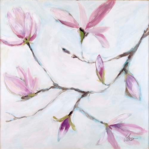 Japanese Flowering Spring: Magnolia