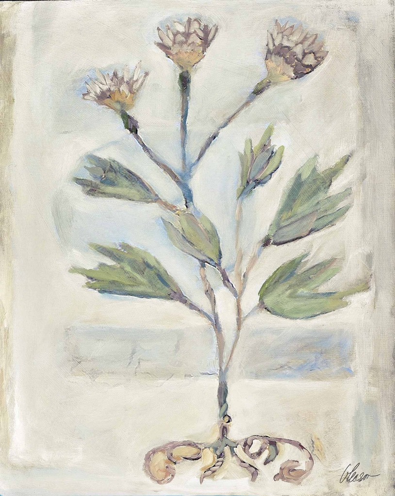 Voynich Meadow: Nerium Oleander