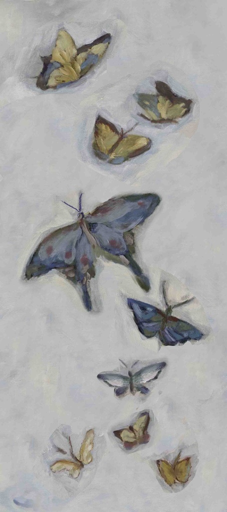 Butterfly Migration: North Wind