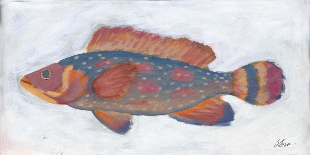 Gone Fishing: Rainbow Fish