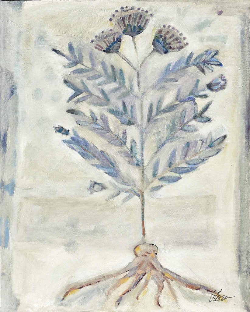 Voynich Meadow: Laurel