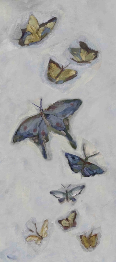 Butterfly Migration: North Wind