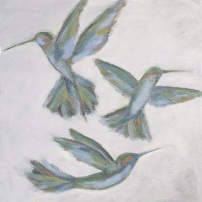 Hummingbirds: Airfoil